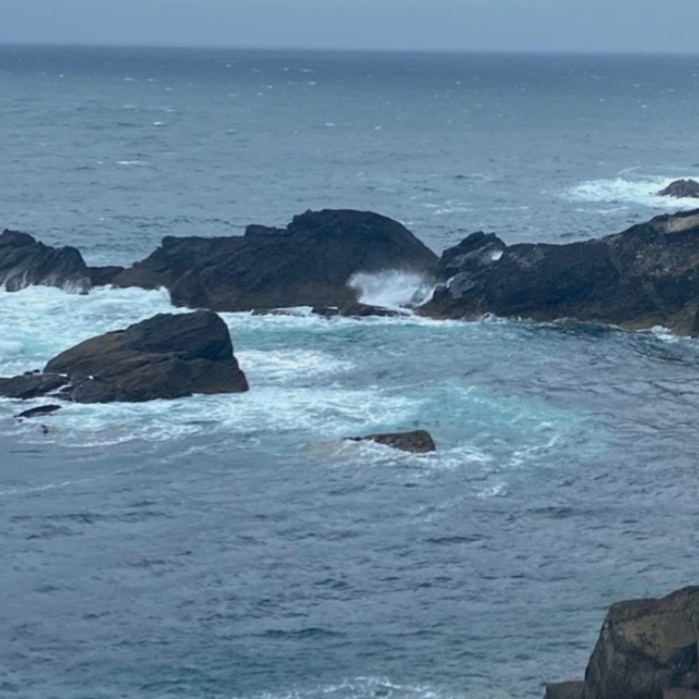 Meet your Posher, closetbincrate